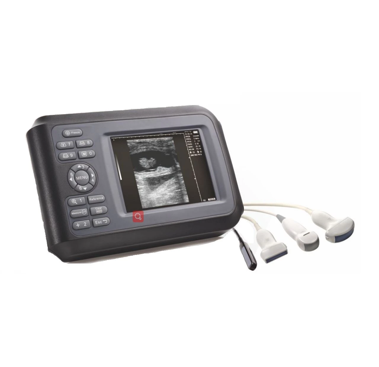 Veterinary Ultrasound Veterinary Ultrasound