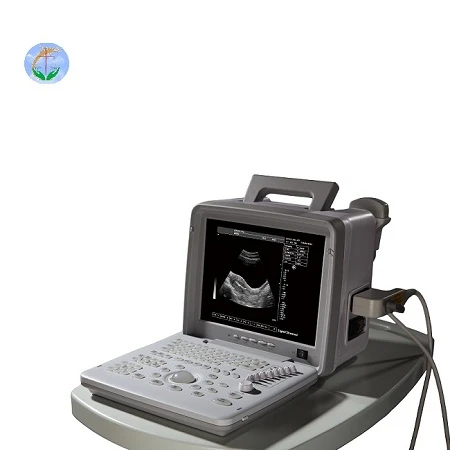 X300 ULTRASOUND X300 ULTRASOUND