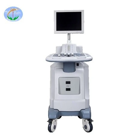 trolley black and white ultrasound scanner1
