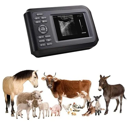 VET ULTRASOUND3 VET ULTRASOUND3