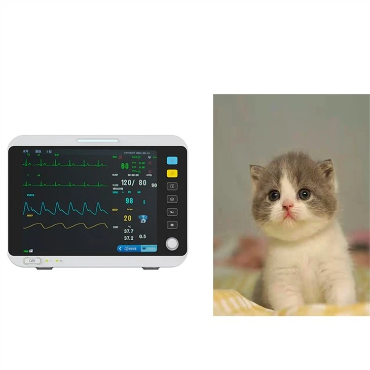 Veterinary Blood Pressure Monitor Veterinary Blood Pressure Monitor