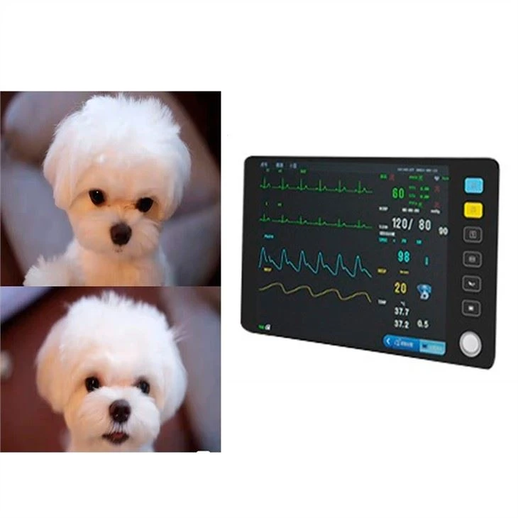 Veterinary Blood Pressure Monitor Veterinary Blood Pressure Monitor