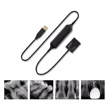 dental x ray sensor 2