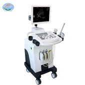 Máy quét siêu âm máy tính xách tay kỹ thuật số đầy đủ màu đen và trắng Usg