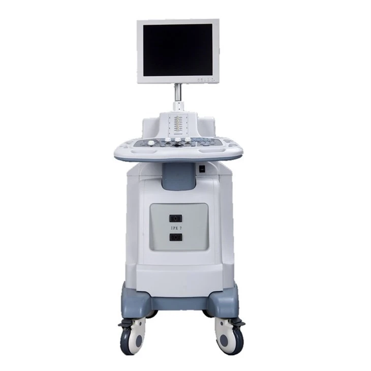Ultra Sound Scanning Price